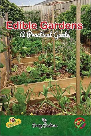 Seen and Now Heard...